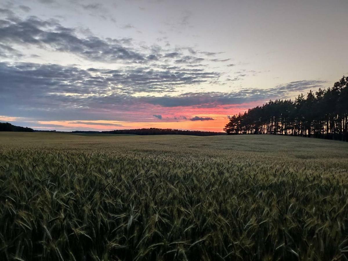 Stawy U Sikory - Dom Rybak - Agroturystyka I Lowisko Nowa Wies  Luaran gambar