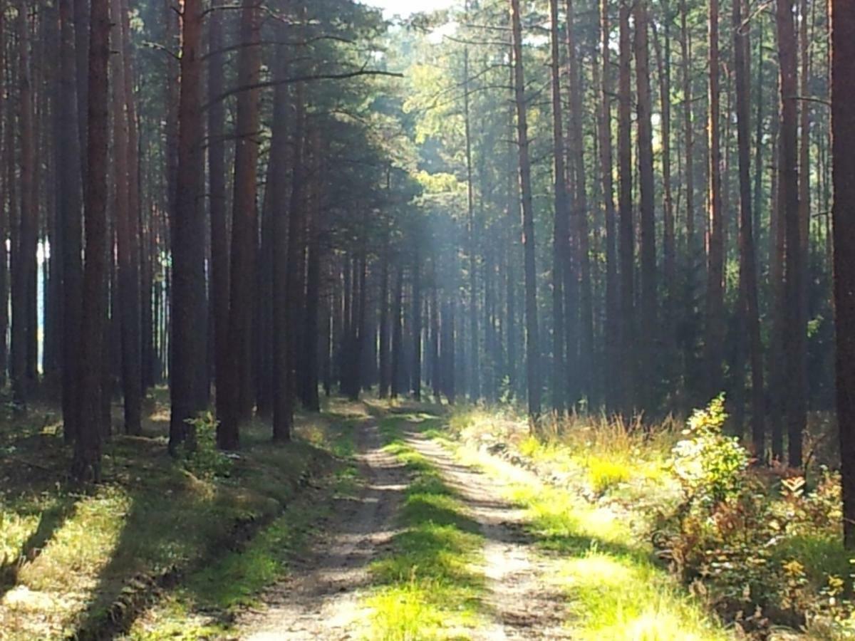Stawy U Sikory - Dom Rybak - Agroturystyka I Lowisko Nowa Wies  Luaran gambar