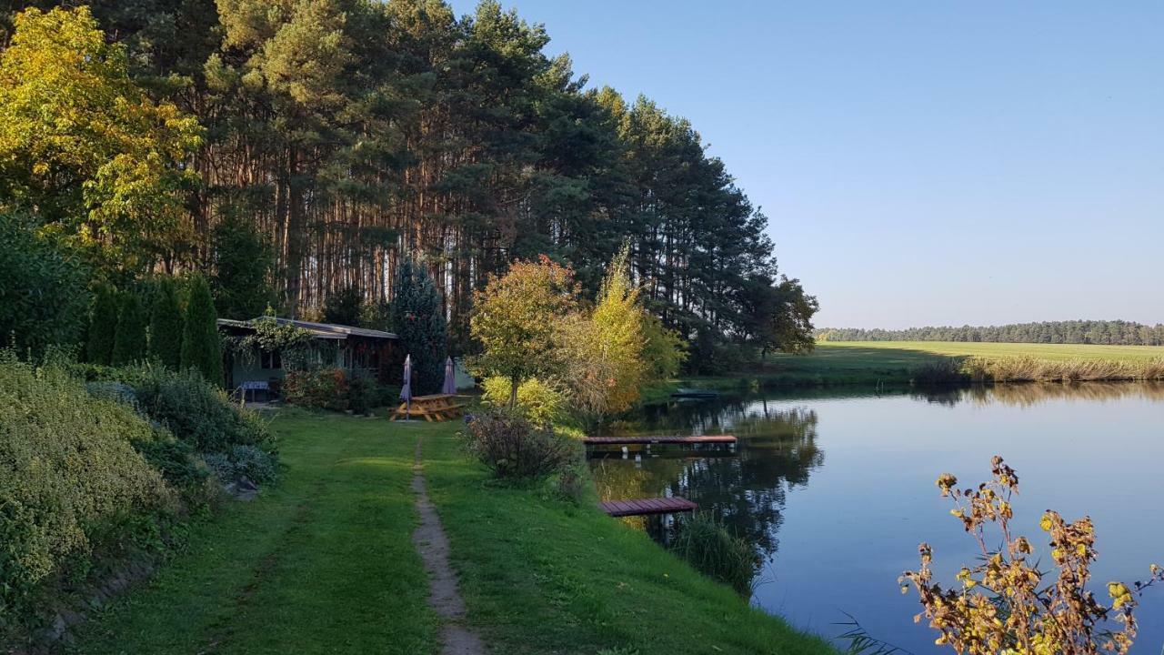 Stawy U Sikory - Dom Rybak - Agroturystyka I Lowisko Nowa Wies  Luaran gambar